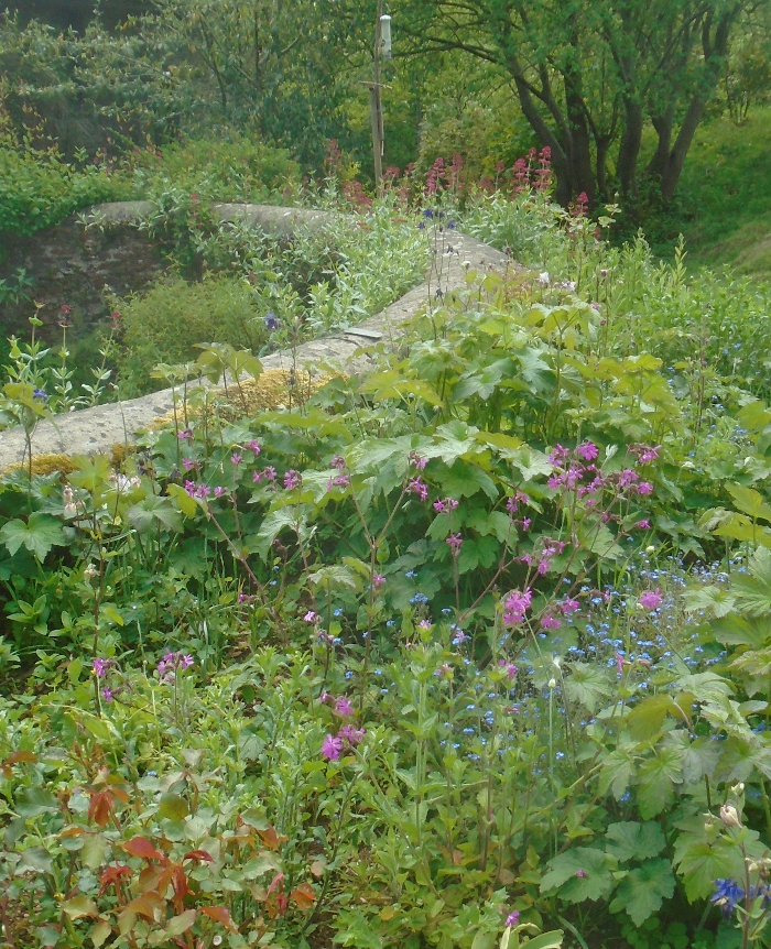 wall in the garden at the Barn Retreat Centre