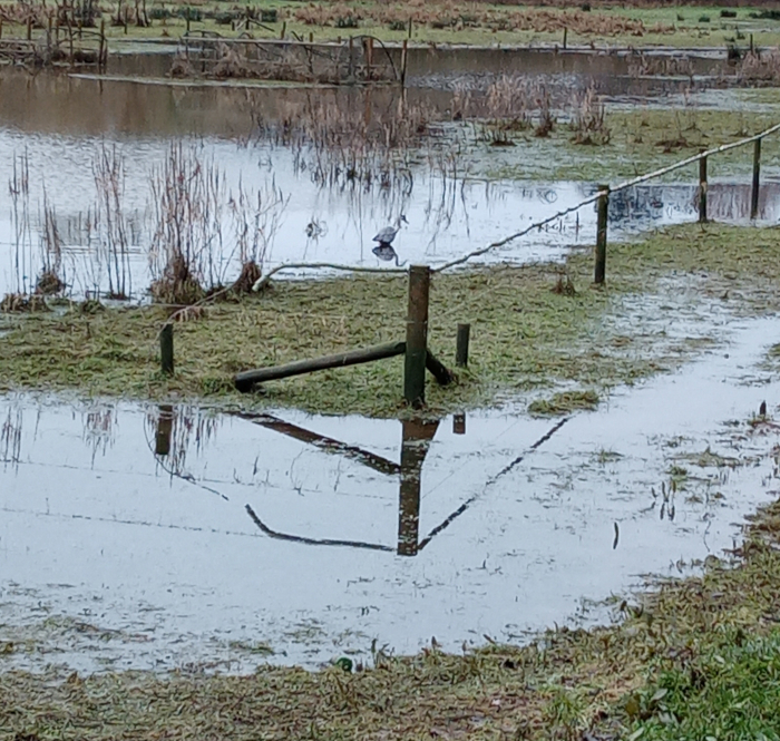 wall in the garden at the Barn Retreat Centre