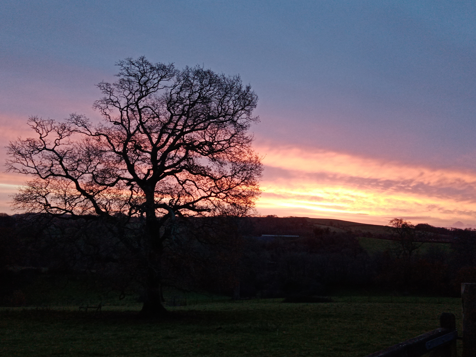 sunrise, Dartington