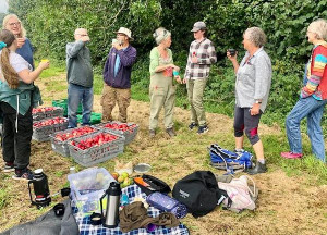 harvesting in company