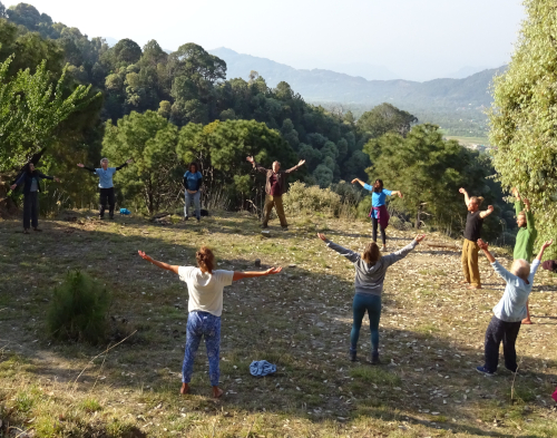 bare tree at dawn, Dartington Estate