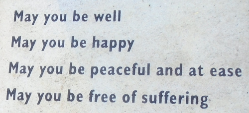 bare tree at dawn, Dartington Estate