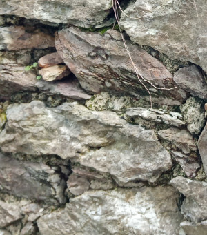 waterbubbles on grid